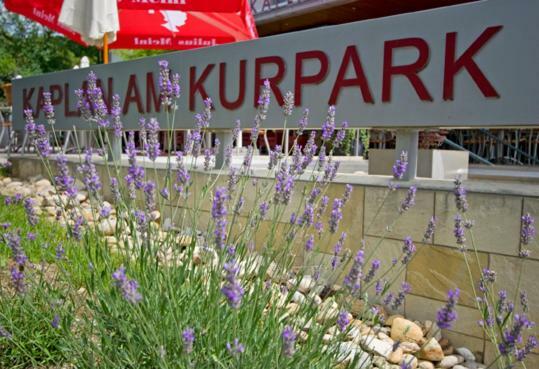 Kaplan Am Kurpark 호텔 바트 타츠만스도르프 외부 사진